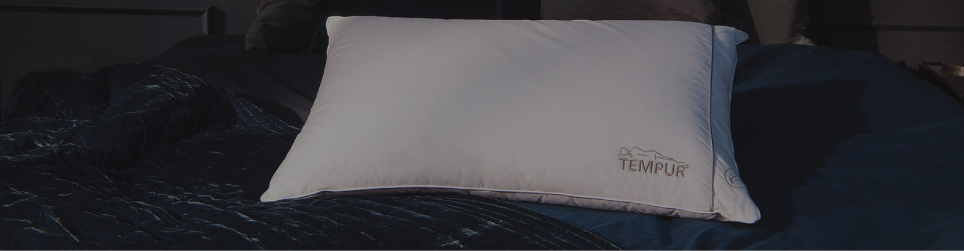 Tempur Banner